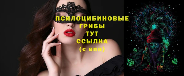 МДПВ Богданович