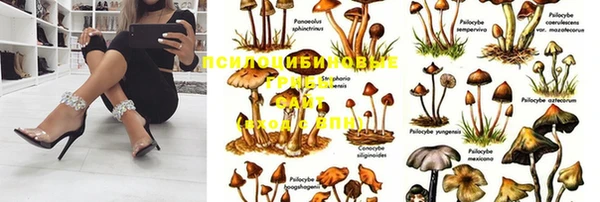 МДПВ Богданович